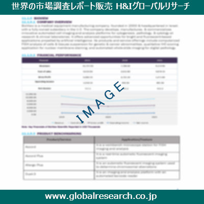 市場調査レポートのイメージ