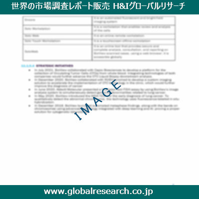 市場調査レポートのイメージ