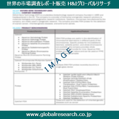 市場調査レポートのイメージ