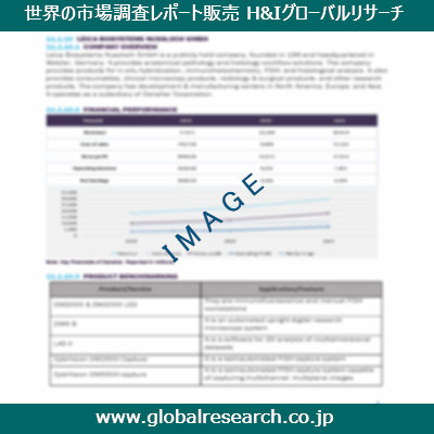 市場調査レポートのイメージ