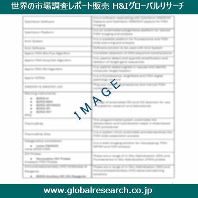 市場調査レポートのイメージ