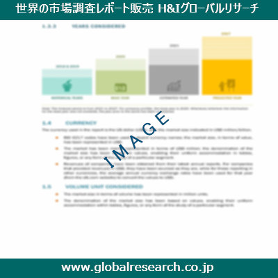 市場調査レポートのイメージ