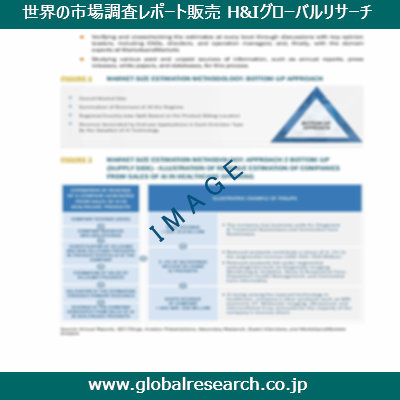 市場調査レポートのイメージ