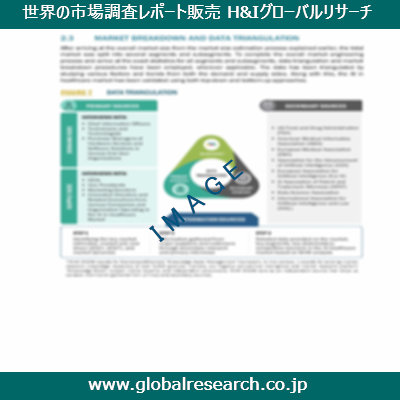 市場調査レポートのイメージ