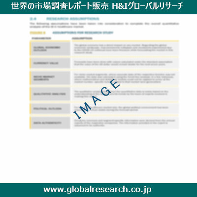 市場調査レポートのイメージ
