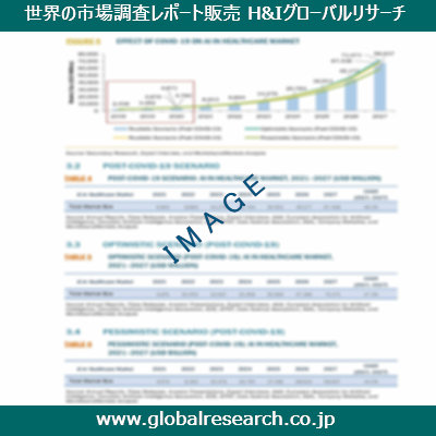 市場調査レポートのイメージ