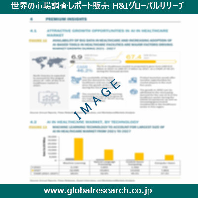 市場調査レポートのイメージ