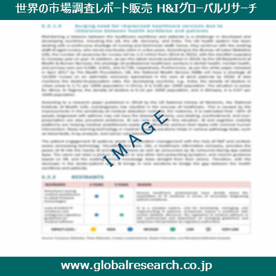 市場調査レポートのイメージ