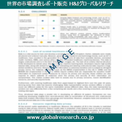 市場調査レポートのイメージ