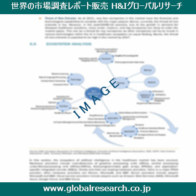 市場調査レポートのイメージ