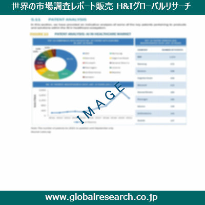 市場調査レポートのイメージ