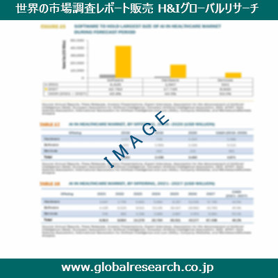 市場調査レポートのイメージ