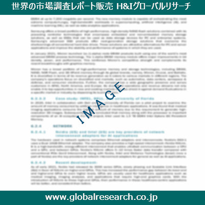 市場調査レポートのイメージ