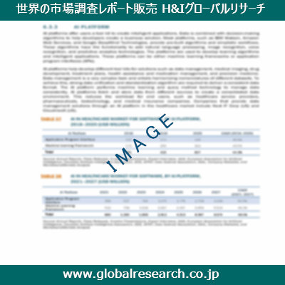市場調査レポートのイメージ