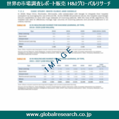 市場調査レポートのイメージ
