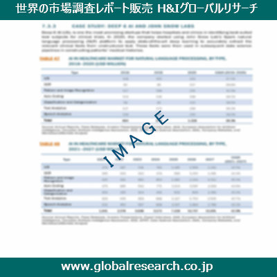 市場調査レポートのイメージ