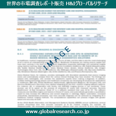 市場調査レポートのイメージ