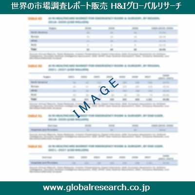 市場調査レポートのイメージ