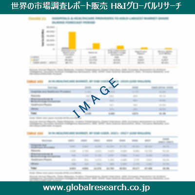 市場調査レポートのイメージ