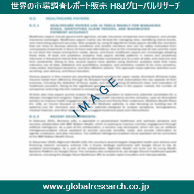 市場調査レポートのイメージ