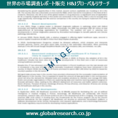 市場調査レポートのイメージ