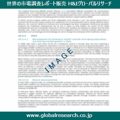 市場調査レポートのイメージ