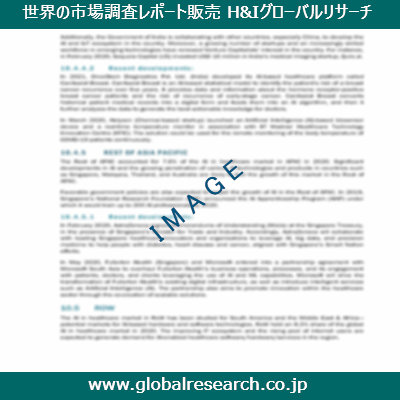 市場調査レポートのイメージ