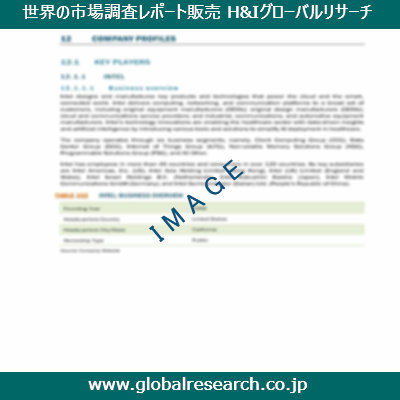 市場調査レポートのイメージ