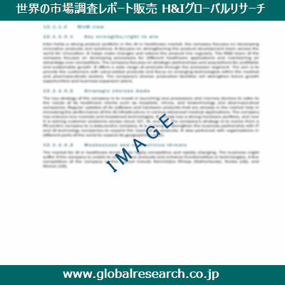 市場調査レポートのイメージ