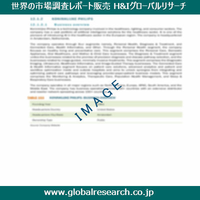市場調査レポートのイメージ