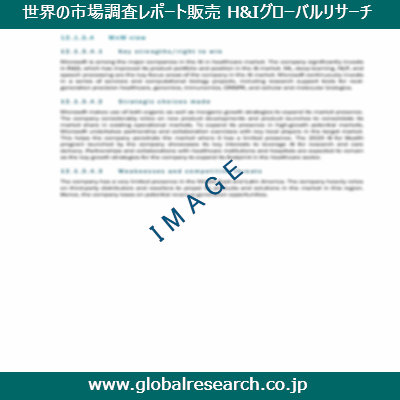 市場調査レポートのイメージ