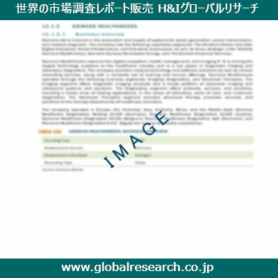 市場調査レポートのイメージ