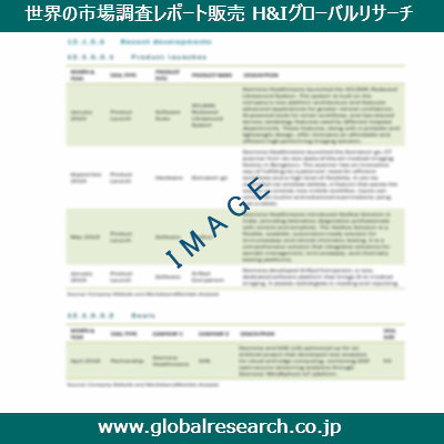 市場調査レポートのイメージ