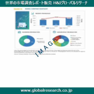 市場調査レポートのイメージ