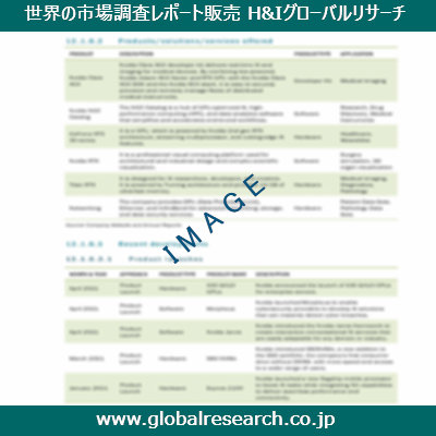 市場調査レポートのイメージ