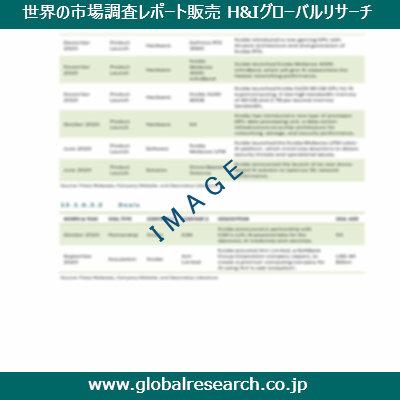市場調査レポートのイメージ