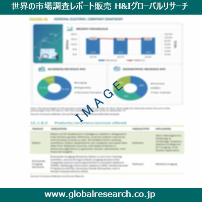 市場調査レポートのイメージ