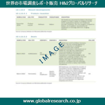 市場調査レポートのイメージ