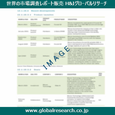 市場調査レポートのイメージ