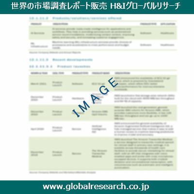市場調査レポートのイメージ