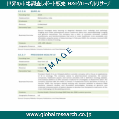 市場調査レポートのイメージ