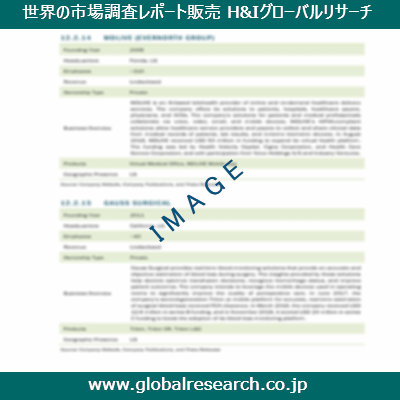 市場調査レポートのイメージ