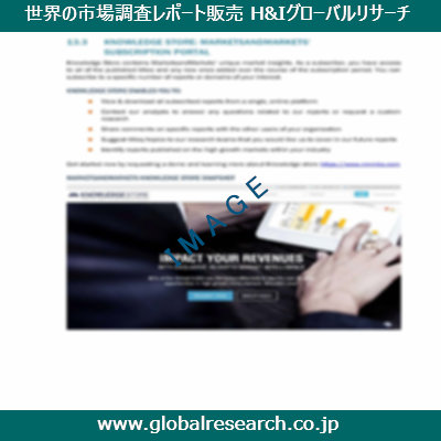 市場調査レポートのイメージ
