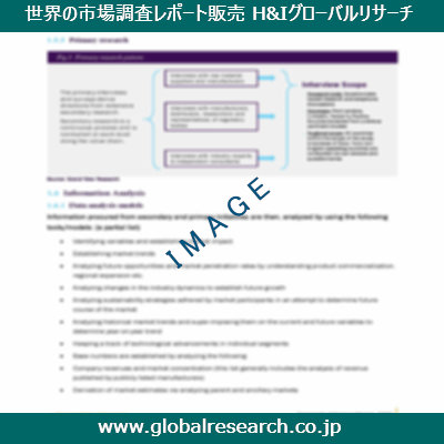 市場調査レポートのイメージ