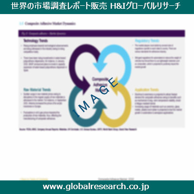 市場調査レポートのイメージ