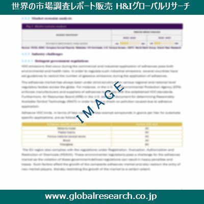 市場調査レポートのイメージ
