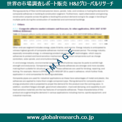 市場調査レポートのイメージ