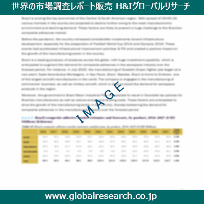 市場調査レポートのイメージ