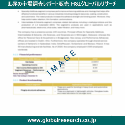 市場調査レポートのイメージ