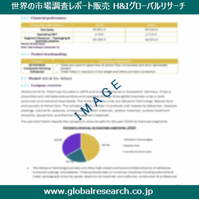 市場調査レポートのイメージ